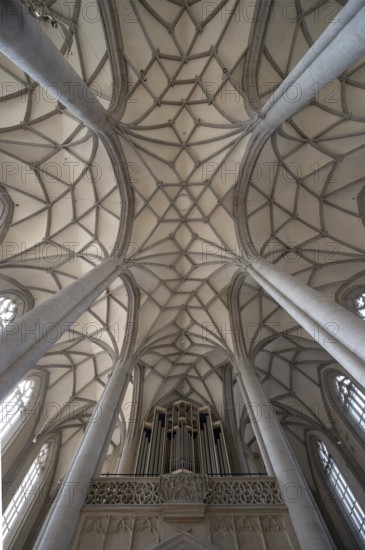 Vaults and organ loft of the late Gothic church of St George, built between 1427 and 1505, church,