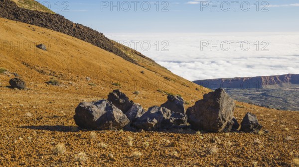 Huevos del Teide, Teide eggs, lava balls, Montana Blanca, Pico del Teide, 3718m, Parque Nacional de
