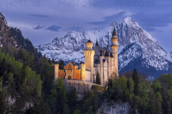 Neuschwanstein Castle near Füssen, Schwangau, Allgäu Alps, night shot, illuminated, snow, East