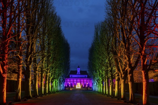It's the most beautiful time of the year when the sparkling evening trail finally lights up