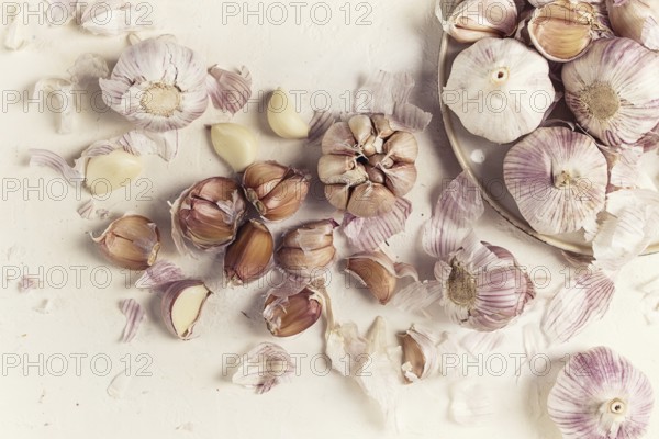 Fresh garlic on a white background, top view, food concept