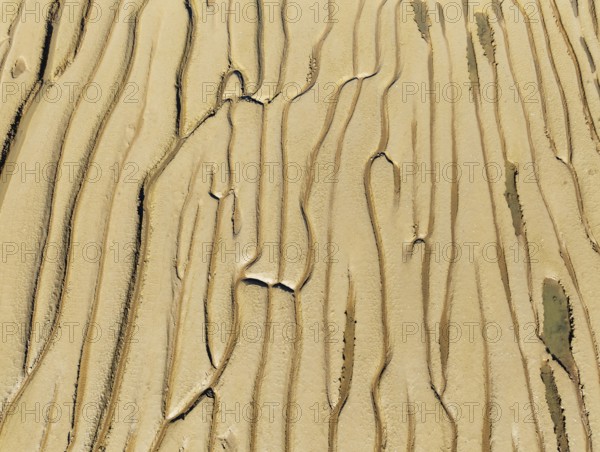 Network of channels and streams at low tide. In the marshland adjacent to the Odiel river. Aerial