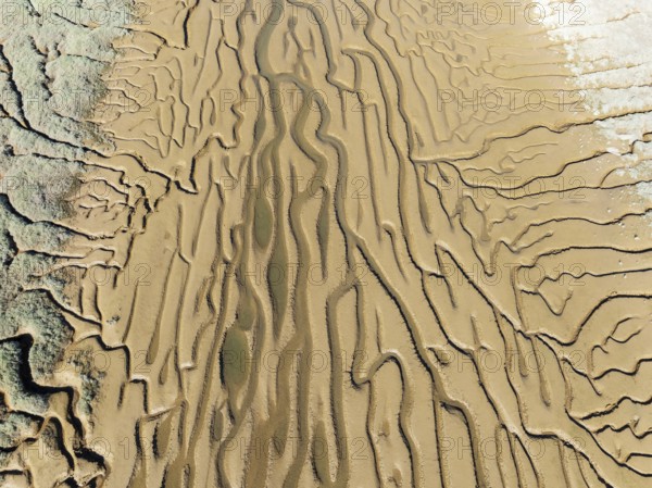 Network of channels and streams at low tide. In the marshland adjacent to the Odiel river. Aerial