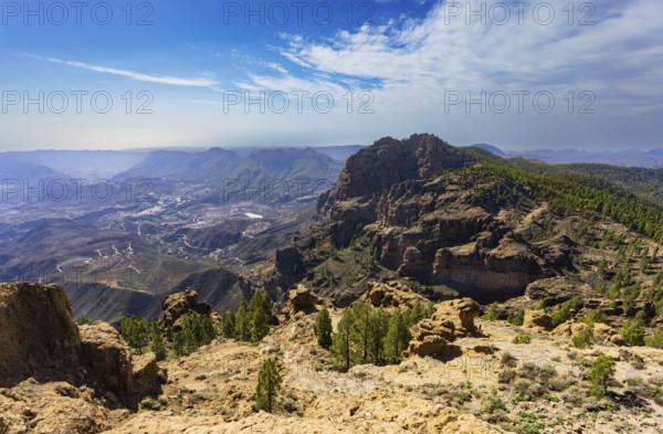View into the valley of the Caldera de Tirajana, pine forest around the summit of El Campanario,