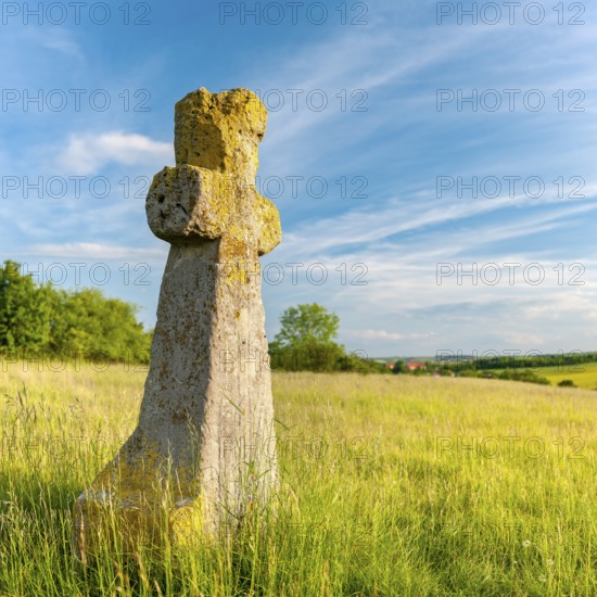 Medieval stone cross, murder cross, atonement cross, Freyburg (Unstrut), Saxony-Anhalt, Germany,