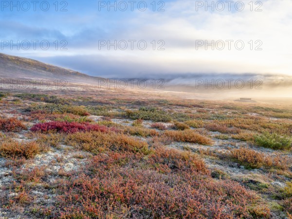 Dovrefjell National Park in autumn, the first rays of sunshine, mountains and fog, frost, Oppdal,