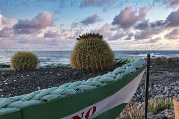 Discarded boat as flower pot, cactus, evening sky by the sea, fish restaurant in El Golfo, Yaiza,