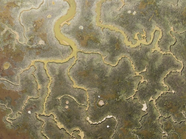 Network of channels and streams at low tide. In the marshland of the Piedras River. Aerial view.