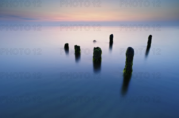 Old posts with algae in the water on the Baltic Sea beach, long exposure at sunset,