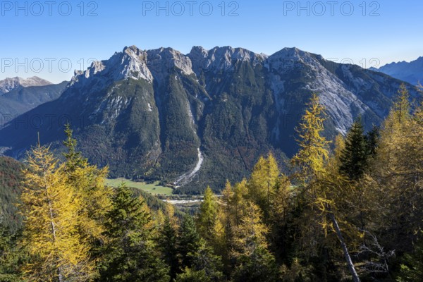 Autumnal mountain forest, yellow-coloured larches, ascent to the Große Arnspitze, view of mountain