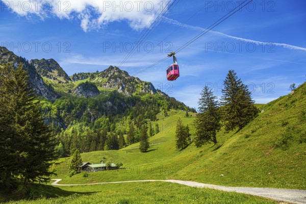 The Hochfelln cable car travels over green meadows and fir trees against a backdrop of impressive