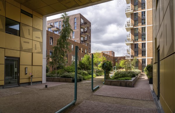De Groene Kaap residential complex, in the Rotterdam Feijenoord district, on the Maashaven,