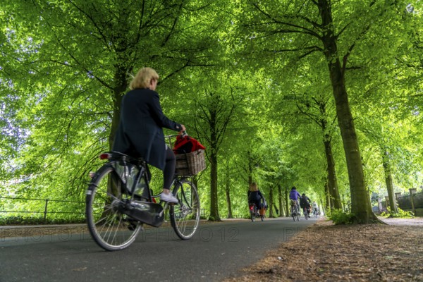 Promenade cycle path, tree-lined, car-free, approximately 4.5 km long ring road around the city