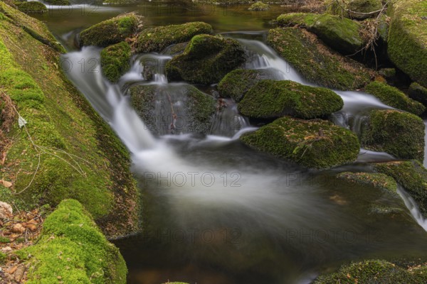 Kleine Ohe creek below Waldhaeuser village in the Bavarian Forest Nationalpark. Flowing water,