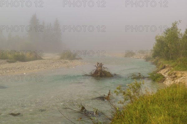 Isar valley nature conservancy area. The wild Isar river flows through its gravel bed past