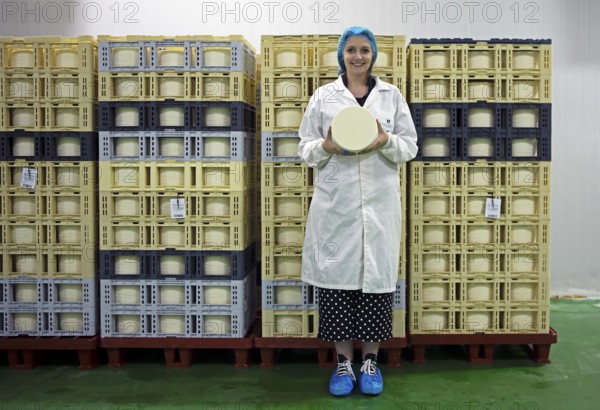 Castilian woman showing a typical Zamora cheese in a cheese factory, cheese stacked in boxes in the