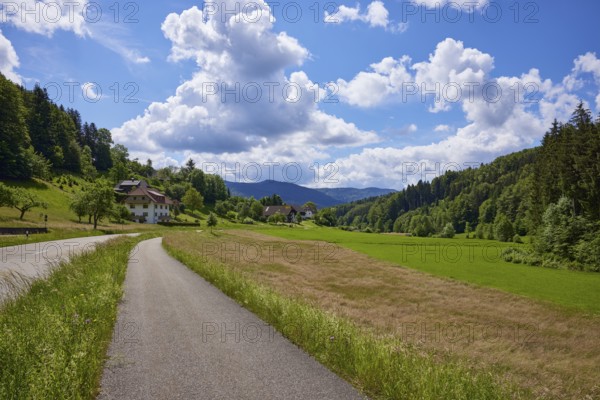 Cycle path, country road and blue sky with cumulus clouds in slight backlight in a landscape near