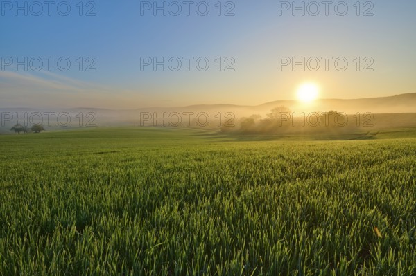 A picturesque sunrise over a wide green field and a gentle hilly landscape, Mönchberg, Mltenberg,