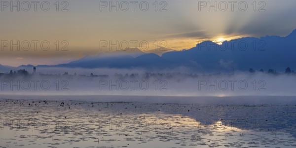 Sunrise at Lake Hopfensee near Füssen, behind Hopfen am See, the Tegelberg massif and the Säuling,