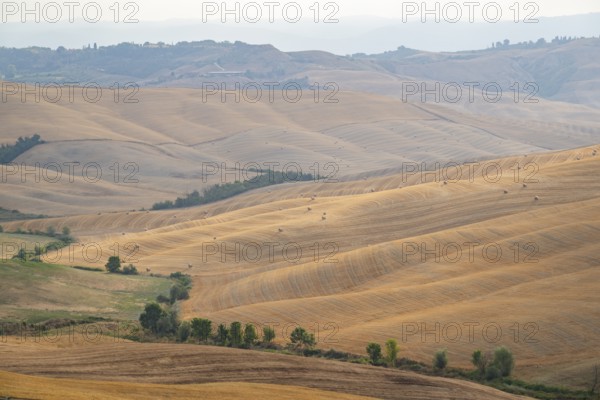Straw bales on a harvested grain field in a typical Tuscan landscape in Crete Senesi with hills,