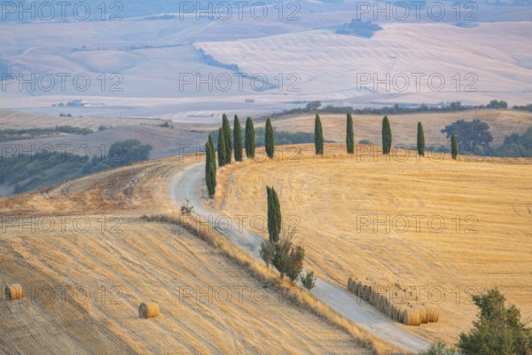 Typical Tuscan landscape in Val d'Orcia with hills, trees, fields, cypresses and farm road in