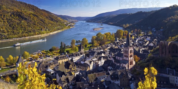Autumn view of Bacharach on the Rhine with St. Peter's Church, UNESCO World Heritage Upper Middle
