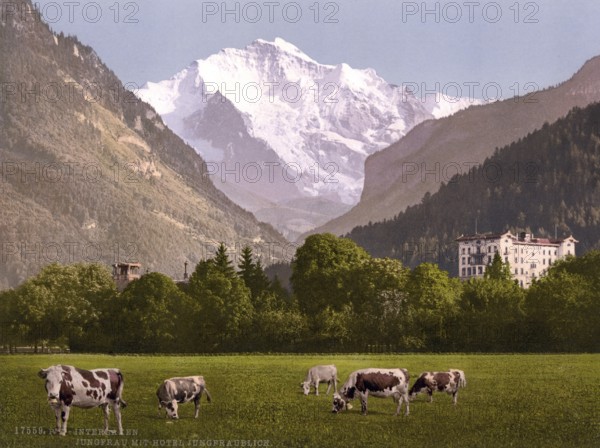 Jungfrau und Jungfraublick Hotel, Bernese Hotel, Switzerland, Historic, digitally restored