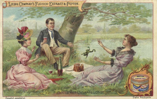 Picture series Scenes from everyday life, picnic with surprise, a frog jumps on the cake, Liebig