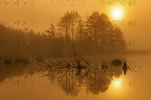 Mystical landscape with reflecting water and sunset atmosphere, Schwenninger moss,