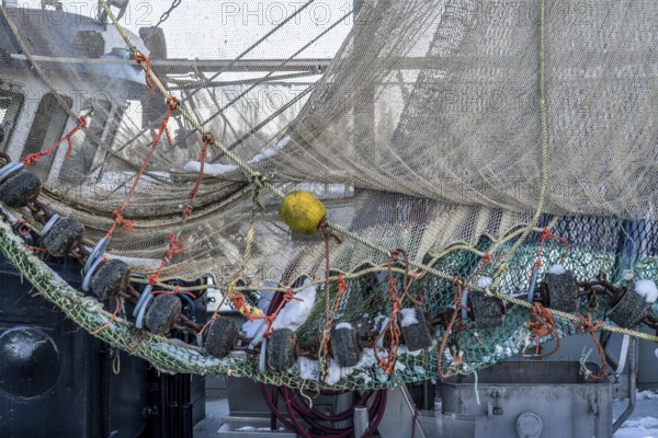 The fishing village of Greetsiel, historic fishing harbour, with the largest shrimp cutter fleet in