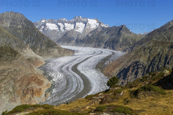 Aletsch glacier, glacier tongue, panorama, climate change, decline, global warming, ice, global