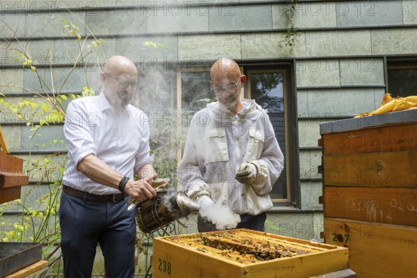 Jens Ardelt and State Secretary Thomas Kralinski hiving a beehive. Since the beginning of 2023,