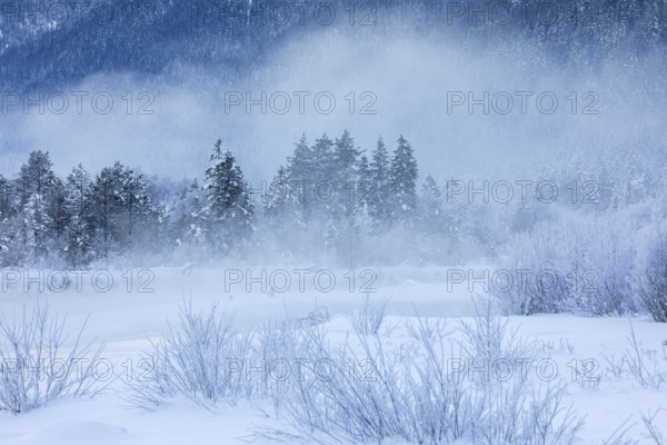 Isar valley in winter at temperatures of minus 18 degrees Celsius. Snow covered landscape with the