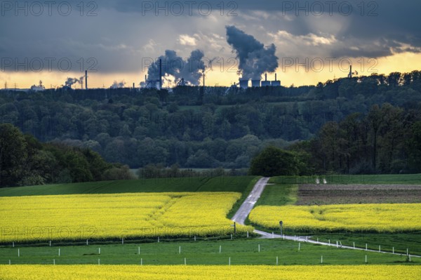 View over Mülheim an der Ruhr, Ickten, rape fields, over the Ruhr heights, to Duisburg-Hüttenheim,