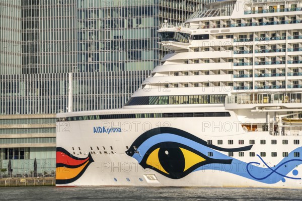 Rotterdam, skyline at the Nieuwe Maas, skyscrapers at the Kop van Zuid district, cruise ship Aida