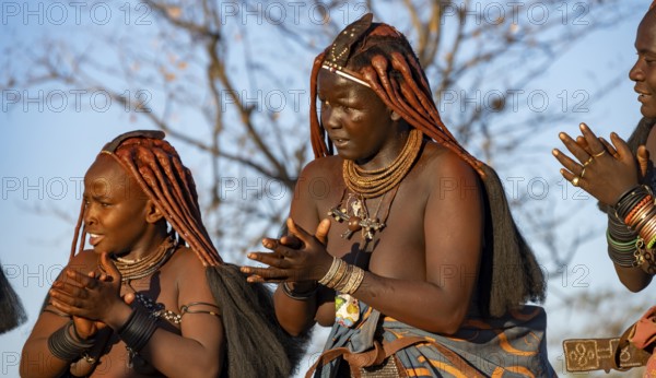 Traditional Himba woman clapping, music and dance, portraits, in the evening light, near Opuwo,