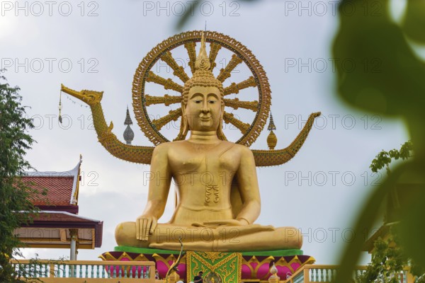 Sitting Buddha at Wat Phra Yai, Buddhist Temple, Big Buddha Temple, religion, Buddhism, figure,