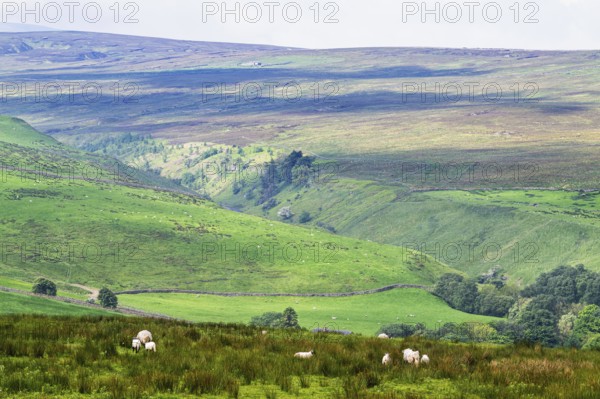Farms over North Pennines, Cumbria, Durham, Northumberland, North Yorkshire, England, United