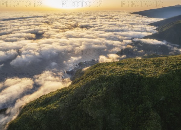 Aerial view of sunrise above clouds and green hills at Fanal mountain, Madeira island, Portugal,