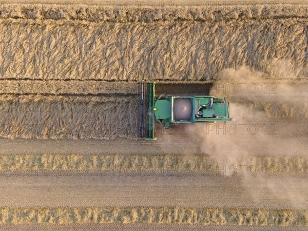 A combine harvester harvests a grain field near Frankfurt am Main. (Aerial photo with a drone),