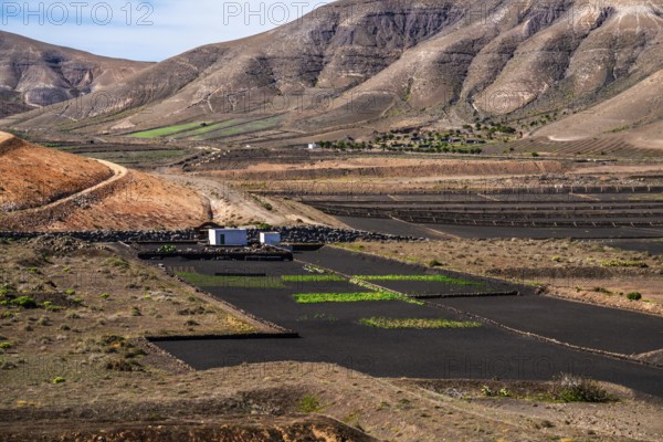 2016, Raimund Franken, Model Release:Not, Property Release: Not Yaiza, Lanzarote, ESP, Spain,