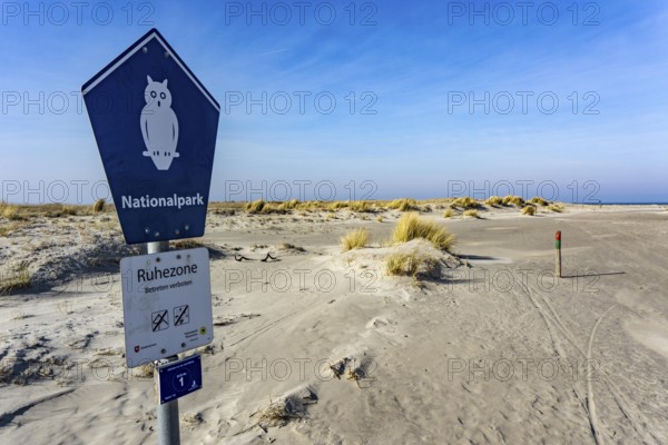 The East Frisian North Sea island of Juist in winter, marsh meadows in the west of the island,
