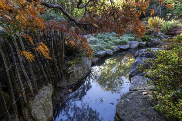Plants, autumn colours, picket fence, stream, Japanese Garden, Zoological City Garden, Karlsruhe,