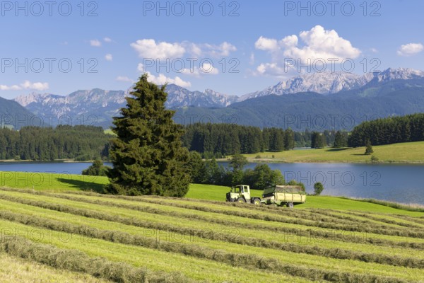 Summer landscape with a tractor on a hayfield near a lake, surrounded by forests and mountains,