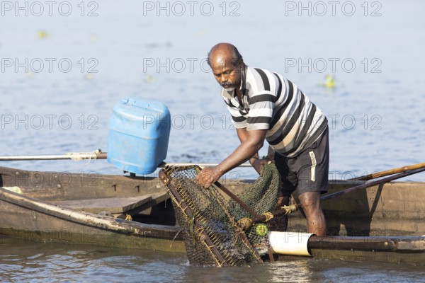Mussel fisherman emptying his net on the Vembanad Lake, canal system of the backwaters, Kerala,