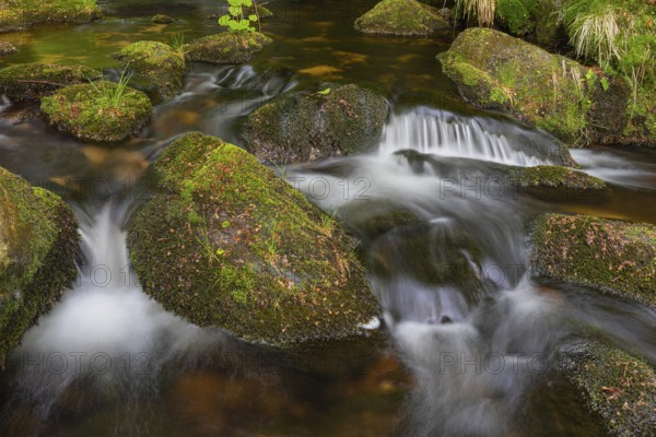 Kleine Ohe creek below Waldhaeuser village in the Bavarian Forest Nationalpark. Flowing water,