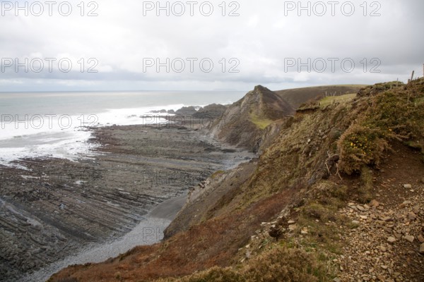 Rocky wave cut platform erosional landforms with ridges formed by eroded tilted strata at Hartland
