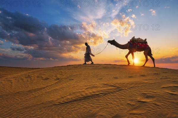 Indian cameleer camel driver bedouin with camel silhouettes in sand dunes of Thar desert on sunset.