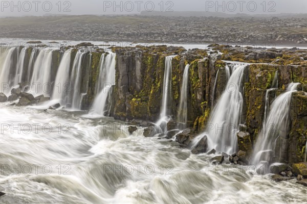 Waterfall at a river, cascades, spray, rapids, summer, foggy, Selfoss, North Iceland, Iceland,