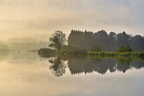 Morning atmosphere at the Flachsee, trees reflected in the water, Rottenschwil, Canton Aargau,
